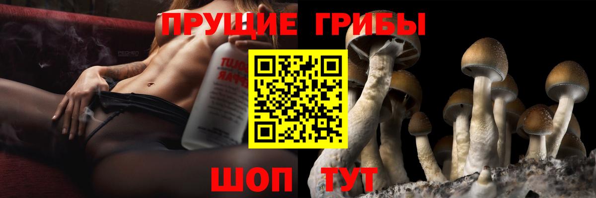 Майкоп  Галлюциногенные грибы мухоморы  Вход с VPN 