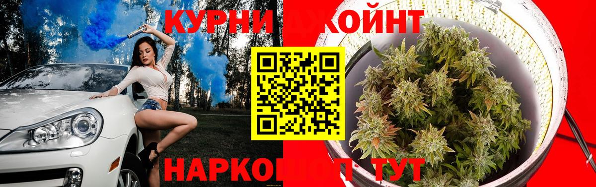 Майкоп  Канабис AK-47  Каннабис сатива  Шишки марихуана план  Вход с VPN  Канабис конопля 